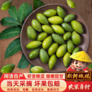闽臻新鲜橄榄1000g青橄榄产地直发2袋福州特产闽清檀香橄榄橄榄果