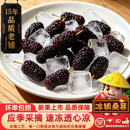 闽臻速冻冰桑葚150g即食