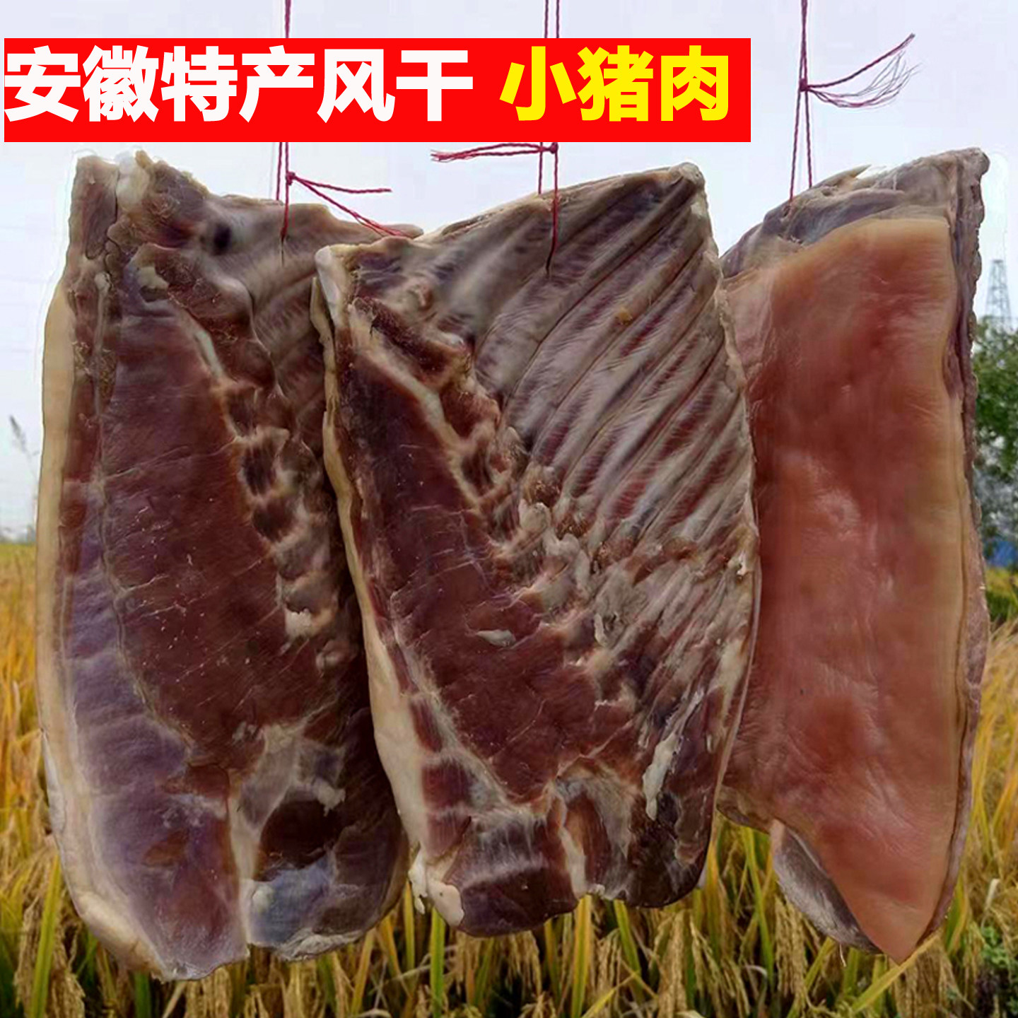 安徽六安特产风干小猪肉
