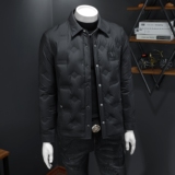 2025冬季新款90%白鸭绒翻领暗花羽绒服钱塘6011-6666P240假模，男装羽绒服，钱塘6011