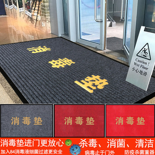 幼儿园学校医院酒店入门消毒垫