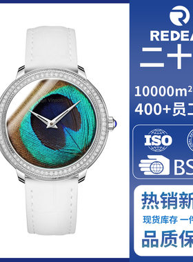 瑞迪尔女士手表品牌女款时尚正品瑞士手表羽毛表盘防水皮带款