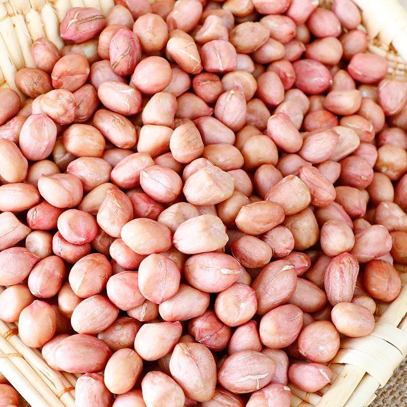 2025年新花生米辽宁白沙榨油商用家用农产品大仓直发专供批发便宜