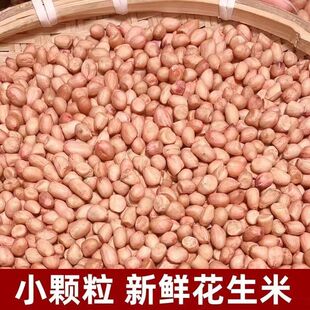 新米手工现剥花生米小粒白沙花生6斤装颗粒饱满新鲜