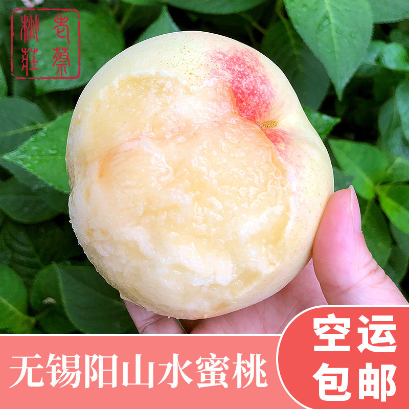 正宗阳山镇老蔡桃庄无锡水蜜桃  可撕皮滴水软桃 8-9两 6只装