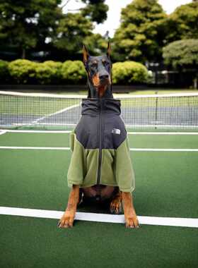 中大型犬新款狗狗衣服秋冬季保暖外套潮牌杜宾金毛拉布拉多绒衣服