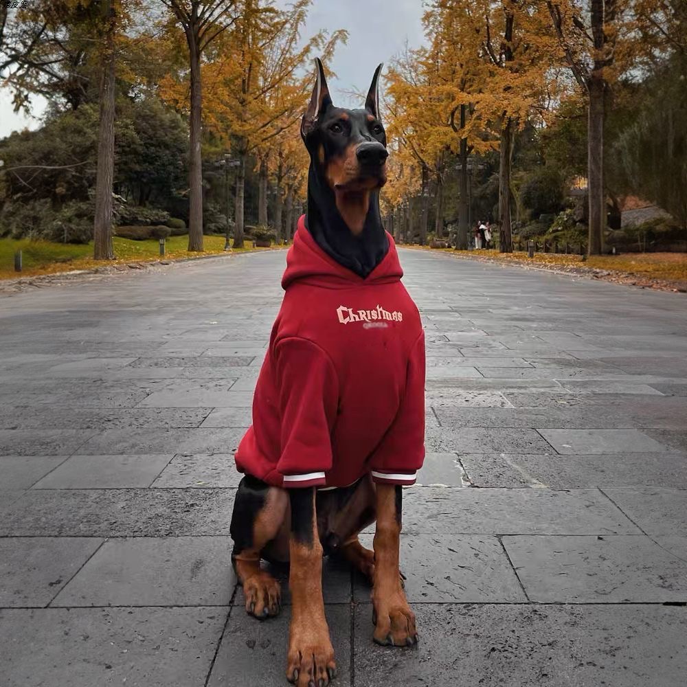 大型犬金毛卫衣加绒保暖防掉毛