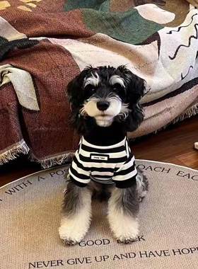 宠物衣服小香风高领条纹夏季宠物服装雪纳瑞泰迪狗狗猫咪宠物衣服