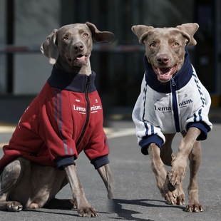 大型犬秋冬新款狗狗宠物衣服保暖金毛边牧拉布拉多加绒保暖外套潮