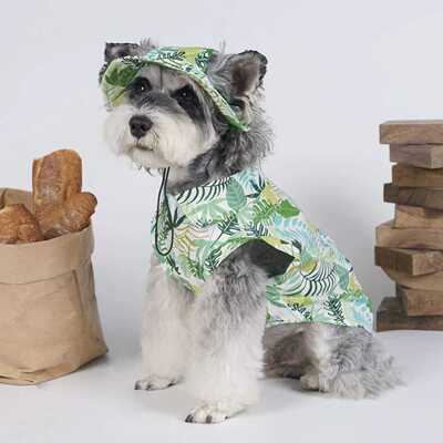 春夏薄款宠物泰迪比熊外出服