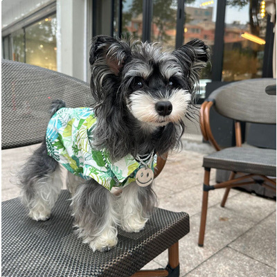 宠物衬衫夏威夷风狗狗衣服春夏薄款外出服泰迪比熊雪纳瑞猫衣服潮