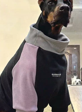 狗狗衣服宠物秋冬新款保暖中大型犬拉布拉多边牧拼色奥丽绒卫衣