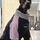 狗狗衣服宠物秋冬新款 保暖中大型犬拉布拉多边牧拼色奥丽绒卫衣
