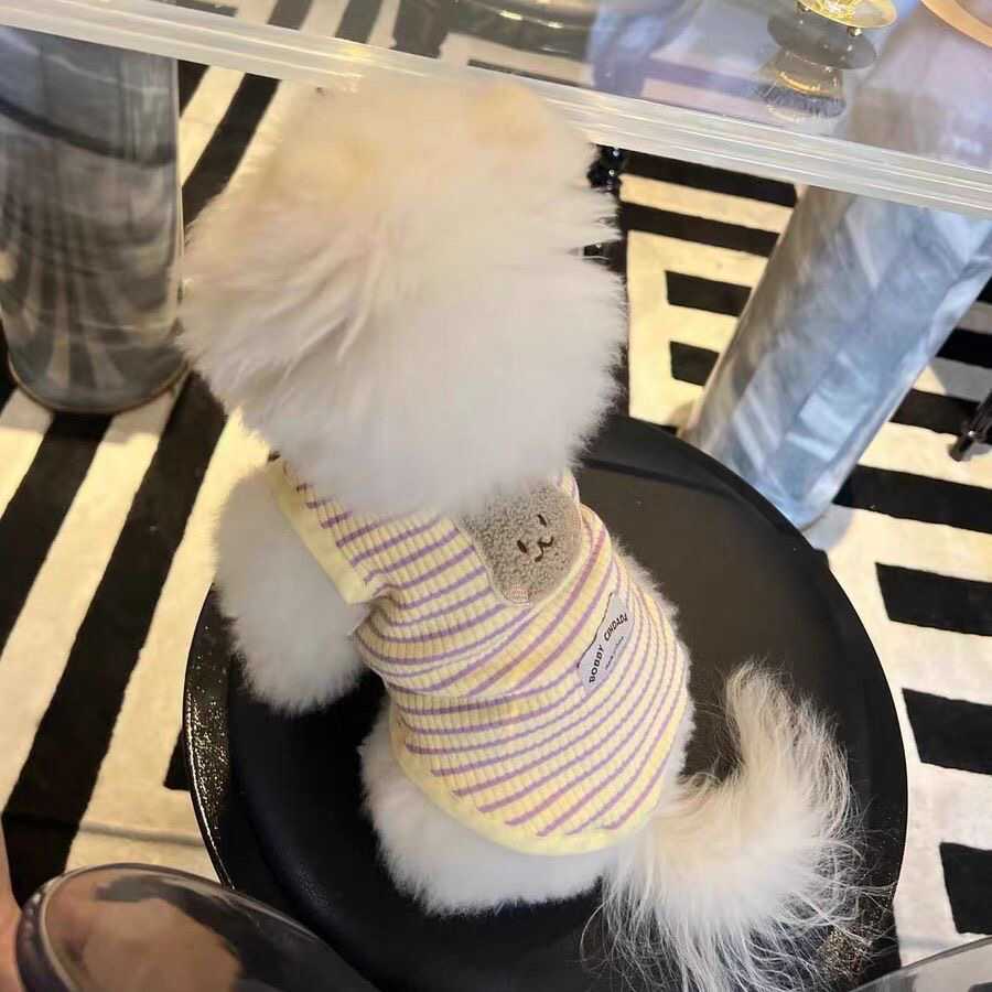 狗狗约克夏秋冬熊头可爱吊带背心