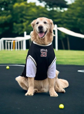 狗狗衣服大型犬薄款杜宾透气假两件篮球服大狗衣服夏季金毛狗衣服