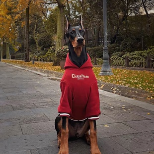 大型犬狗狗衣服秋冬款狗衣服冬季保暖卫衣金毛圣诞衣服狗衣服过年