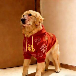 大型犬狗狗衣服喜庆红色秋冬新款金毛拉布拉多边牧加绒卫衣过年衫