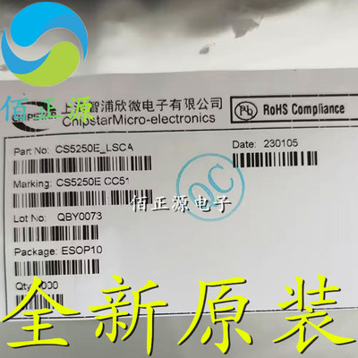 CS5250E 贴片ESOP-10 无电感电荷泵升压5.3W防破音音频功放芯片