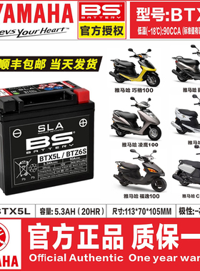 雅马哈巧格i125新福喜AS125福颖旭鹰赛鹰巡鹰125凌鹰NMAX155电瓶