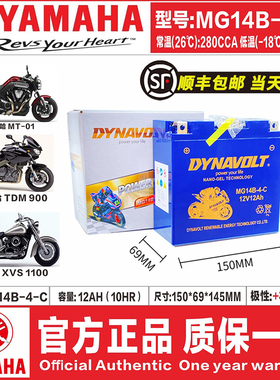雅马哈MT-01电瓶 XV1900 FJR1300 XJR1300 TDM900 摩托车蓄电池