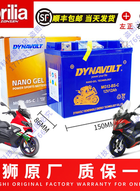 阿普利亚SRMAX250 SRMAX300 SR300 台风SR150ie比亚乔X7原厂电瓶