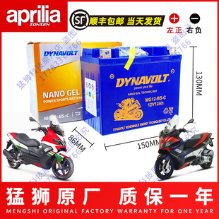 阿普利亚SRMAX250 SRMAX300 SR300 台风SR150ie比亚乔X7原厂电瓶