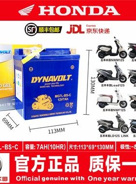 适用五羊本田SCR125 Spacy125 NWM125 NWX125 NWF125 LD125电瓶