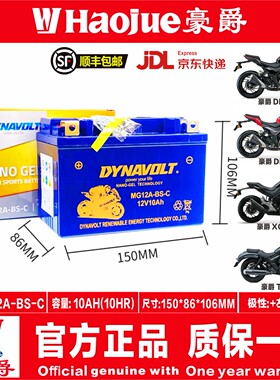 适用豪爵DR250 DR300 XCR300 TR300 TR150 DR150 DL150 UHR电瓶