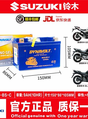 适用铃木骊驰GW250F/S DL250 GSX250R DR TR300 DL650 DL1000电瓶