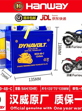 汉威HS125 Furlous250SC 250NK BOB400雅痞YP500B50雅痞YP520电瓶