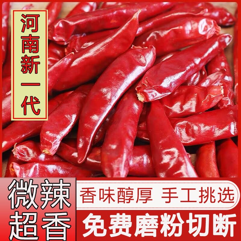 河南内黄新一代干辣椒微辣特香辣椒粉面辣椒段太阳红辣椒天鹰小椒