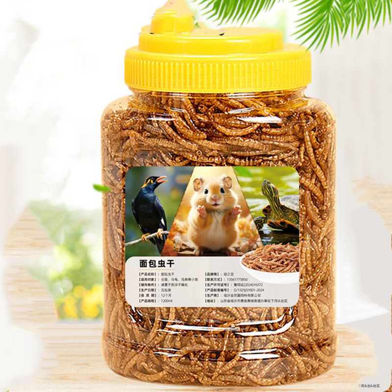 仓鼠八哥鹦鹉面干面包虫黄粉虫