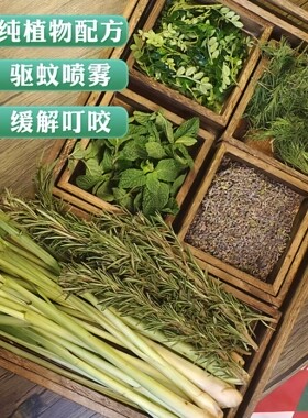 植物精油驱蚊纯露喷雾香茅孕童可