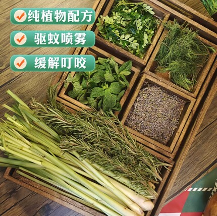植物精油驱蚊纯露水喷雾香茅孕可防蚊肿痒肿儿童叮咬无酒精花露水
