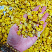 一期一會黄腊梅花纯露很香鲜花平衡油脂补水舒缓不提精油饱和纯露