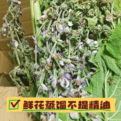 快乐鼠尾草纯露去痘控油痤疮闭口