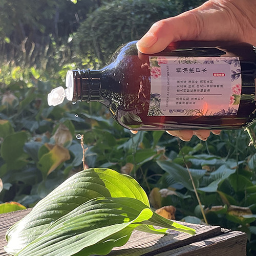 植物精油漱口水口气清新持久留香清洁牙齿除口臭保护牙龈疼不辣口