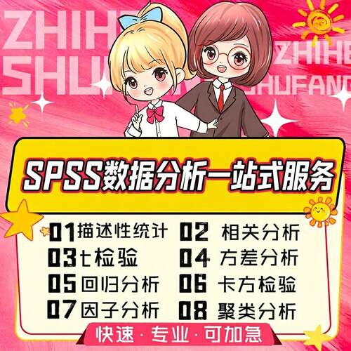 SPSS数据分析服务eviews实证Stata问卷调查meta医学amos统计R代做