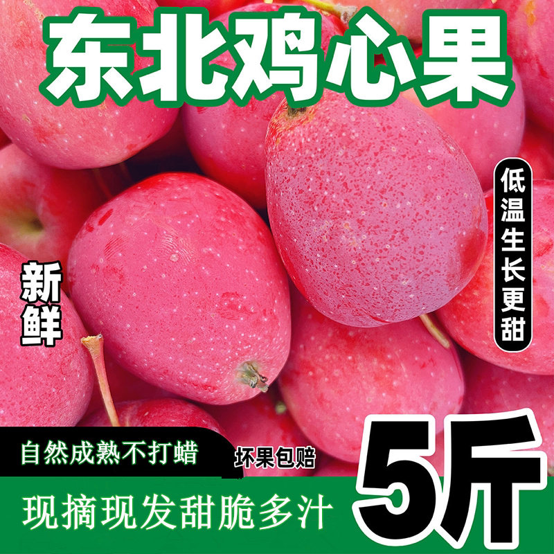 东北鸡心果新鲜沙果现摘小苹果