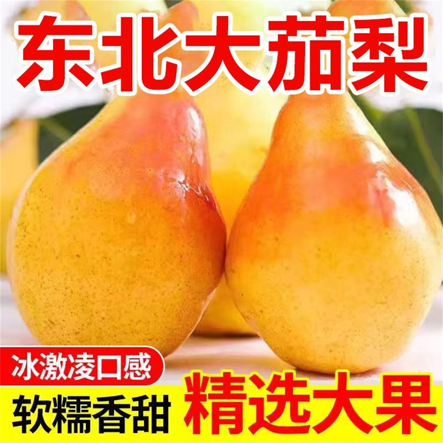 东北茄梨大头梨太婆梨香蕉梨软糯