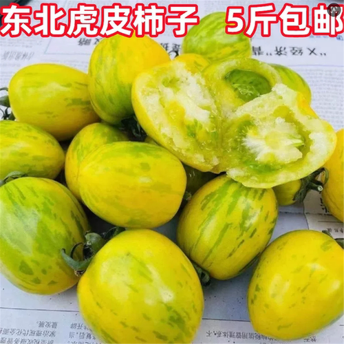 东北虎皮柿子新鲜皮球黄柿西红柿