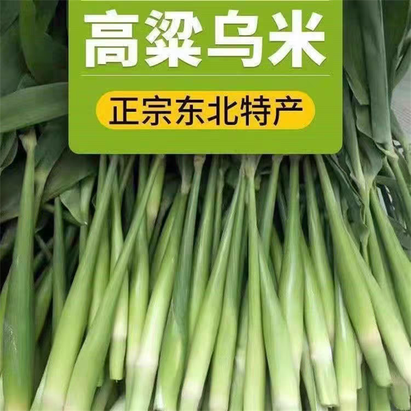 新鲜高粱乌米乌苠带皮乌咪蔬菜
