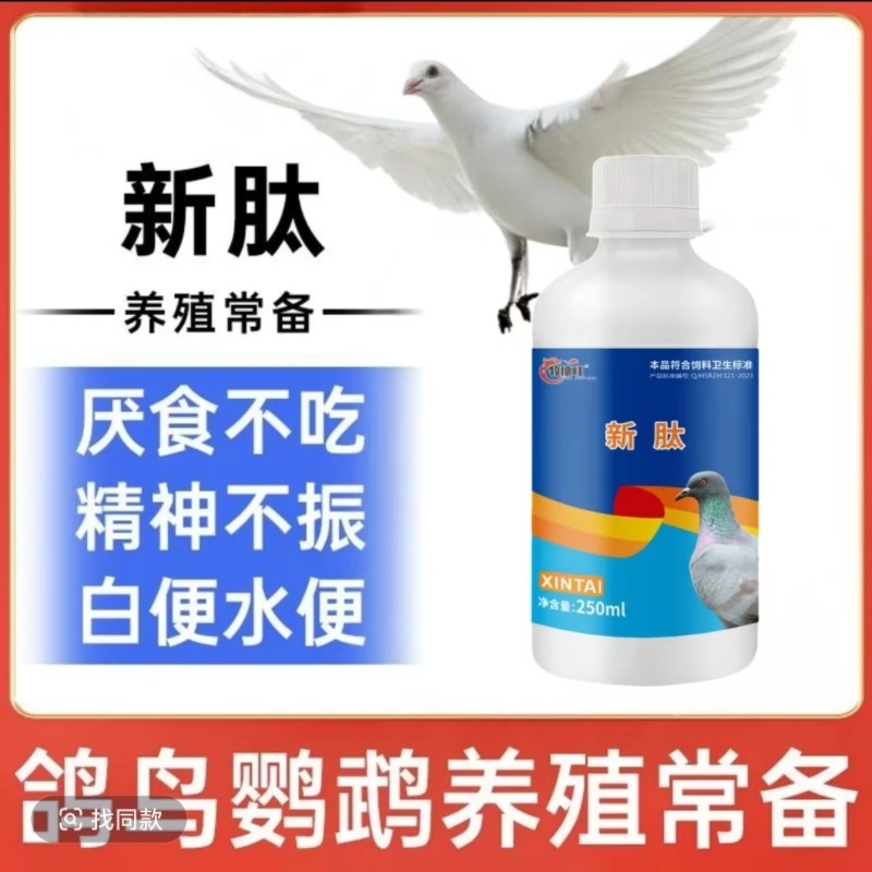 新肽鸽药鸽新肽鸽子腺病毒特效药甩拉吐新汰绿便新诚意抗病毒专用