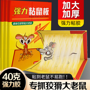 强力粘鼠板抓大老鼠贴加大加厚家用室内仓库厨房老鼠贴粘捕捉神器