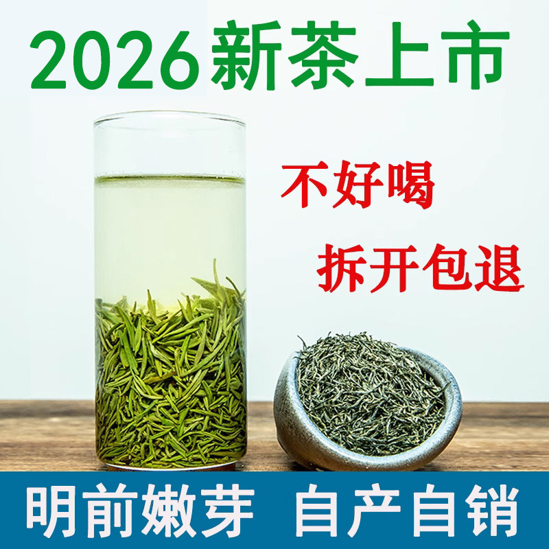 2026新茶信阳毛尖明前茶叶手工正宗高山绿茶自产自销散装500g春茶