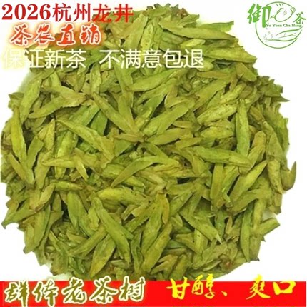 2026年新茶AAAA高山群体种杭州龙井绿茶茶叶250g明前春茶限量直销