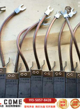 摩腾接地碳刷：CT55/R160-12.52564，9个详谈报价