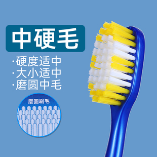 口玉中毛牙刷成人款家用中硬毛去牙渍烟渍磨圆大头中软毛宽头中头