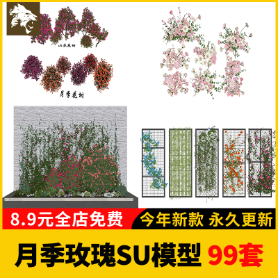 3d藤本欧洲月季玫瑰花SU模型爬藤植物树状棒棒糖围墙花架草图大师