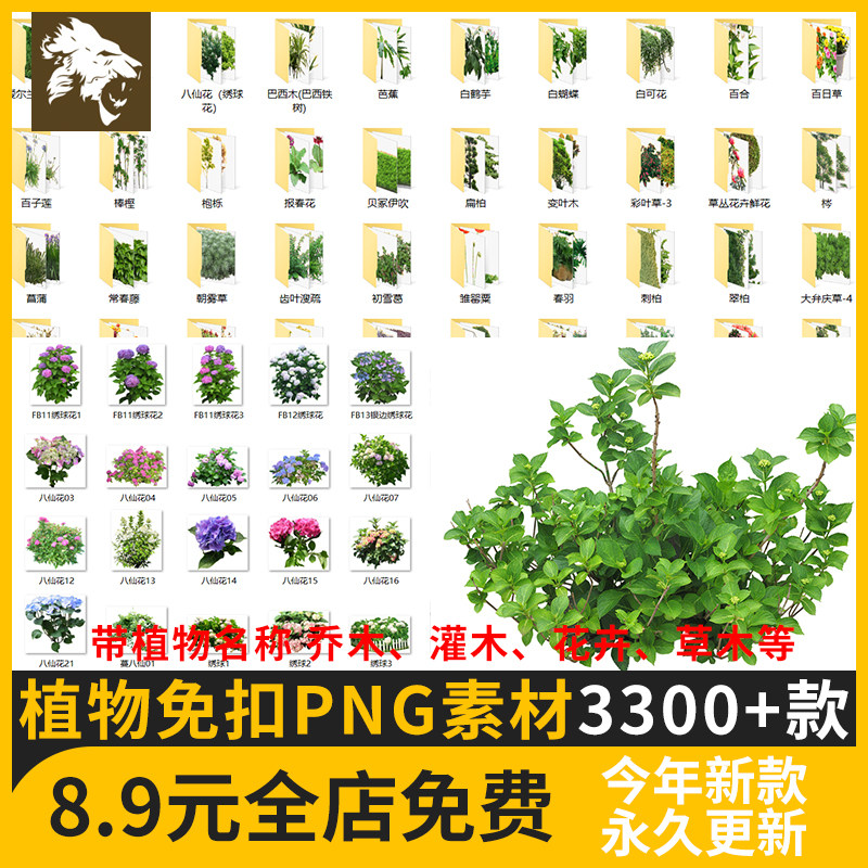 植物免抠png素材设计景观园林 带名称乔木灌木花草树绿植效果图片